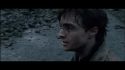 PotterishHP72ABCFamily1-235~2.jpg