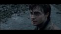 PotterishHP72ABCFamily1-236~2.jpg