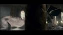 PotterishHP72ABCFamily1-245~2.jpg