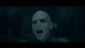 PotterishHP72ABCFamily1-24~2.jpg