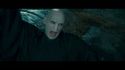 PotterishHP72ABCFamily1-57~2.jpg