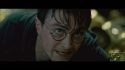 PotterishHP72ABCFamily1-67~2.jpg