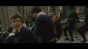 PotterishHP72ABCFamily1-95~2.jpg