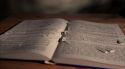 PottermoreAnuncio-Ish-114.jpg