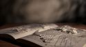 PottermoreAnuncio-Ish-118.jpg