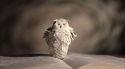 PottermoreAnuncio-Ish-134.jpg