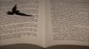 PottermoreAnuncio-Ish-140.jpg