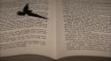 PottermoreAnuncio-Ish-141.jpg