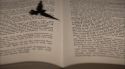 PottermoreAnuncio-Ish-142.jpg