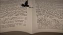 PottermoreAnuncio-Ish-143.jpg
