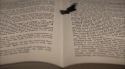 PottermoreAnuncio-Ish-144.jpg