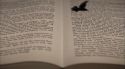 PottermoreAnuncio-Ish-145.jpg