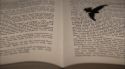 PottermoreAnuncio-Ish-146.jpg