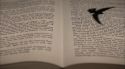 PottermoreAnuncio-Ish-147.jpg