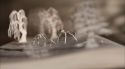 PottermoreAnuncio-Ish-81.jpg
