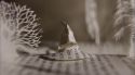 PottermoreAnuncio-Ish-97.jpg