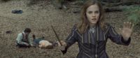 RdM-TVSpot1-Potterish119~0.jpg