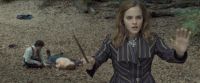 RdM-TVSpot1-Potterish120~0.jpg