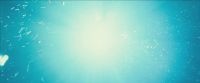 RdM-TVSpot1-Potterish183~0.jpg