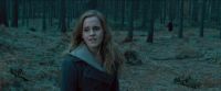RdM-TVSpot1-Potterish196~0.jpg