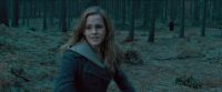 RdM-TVSpot1-Potterish197~0.jpg