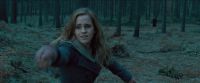 RdM-TVSpot1-Potterish198~0.jpg