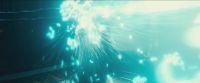 RdM-TVSpot1-Potterish210~0.jpg
