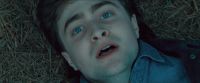 RdM-TVSpot1-Potterish27~0.jpg