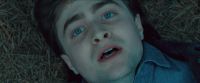 RdM-TVSpot1-Potterish29~0.jpg