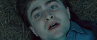 RdM-TVSpot1-Potterish30~0.jpg