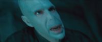 RdM-TVSpot1-Potterish43~0.jpg