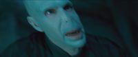 RdM-TVSpot1-Potterish44~0.jpg