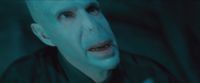 RdM-TVSpot1-Potterish45~0.jpg