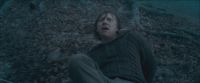 RdM-TVSpot1-Potterish75~0.jpg