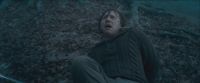 RdM-TVSpot1-Potterish76~0.jpg