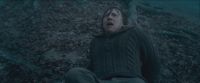 RdM-TVSpot1-Potterish77~0.jpg