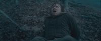RdM-TVSpot1-Potterish78~0.jpg