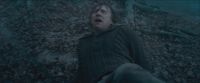 RdM-TVSpot1-Potterish79~0.jpg