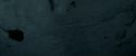 RdM1-Potterish10047.jpg