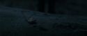RdM1-Potterish10184.jpg