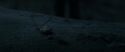 RdM1-Potterish10186.jpg
