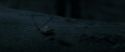 RdM1-Potterish10189.jpg