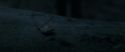 RdM1-Potterish10190.jpg