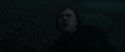 RdM1-Potterish10264.jpg