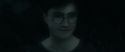 RdM1-Potterish10314.jpg