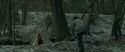 RdM1-Potterish10452.jpg