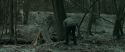 RdM1-Potterish10454.jpg