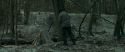 RdM1-Potterish10455.jpg