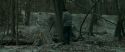 RdM1-Potterish10457.jpg