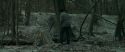 RdM1-Potterish10458.jpg